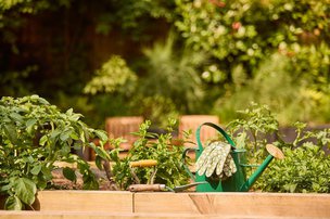 Alexandra Grange, garden - watering can 