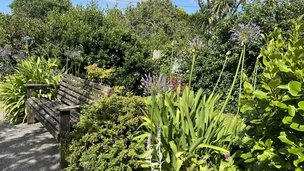 Langholme, Falmouth