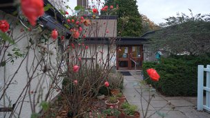 Greenhill Care Home - Roses in garden