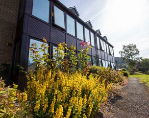 Llwyn Teg Care Home - garden flowerbeds