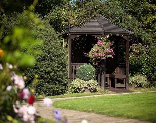 Ashton Manor, Wrecclesham, garden 1