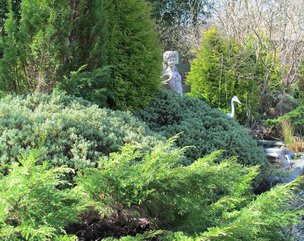 Maes-y-dderwen - Beautiful garden