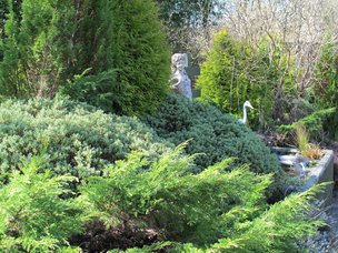 Maes-y-dderwen - Beautiful garden