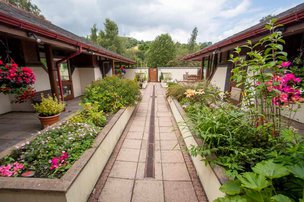 Maes-y-Wennol Care Home - flowerbeds