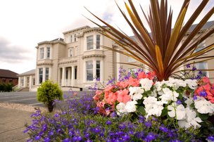 Belleaire House Care Home, plants outside the care home. 