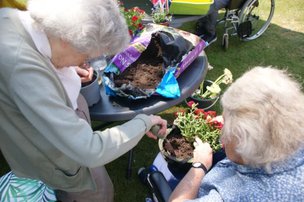 Downs House in Petersfield gardening