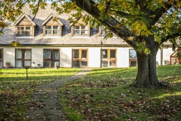 Wickham Care Home, Chelmsford, garden 