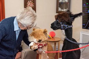 Regency Care Home, Derby, pet friendly