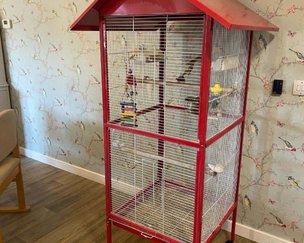 Victoria House Northamptonshire, birds