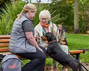 Walfinch Reigate & Horsham, companionship