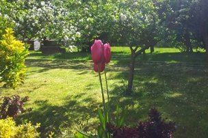 Richmond Hall, Walsall, spring garden