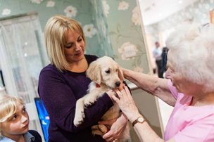 ridgeway court in dudley, dog visiting the home