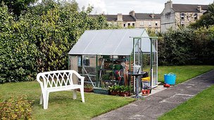 Ailsa Craig in Cessnock, Rear Garden