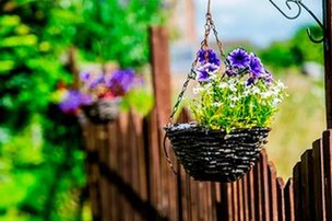 Carrington Court in Hindley, garden