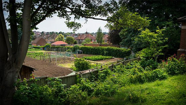 Cedar Court, garden area 