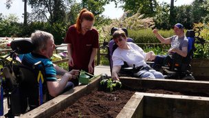 Danybryn - Raised flowerbeds