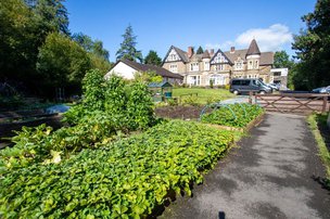 Danybryn - Exterior of home with allotments