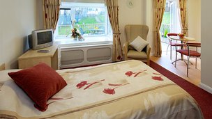 Fir Trees, bed 