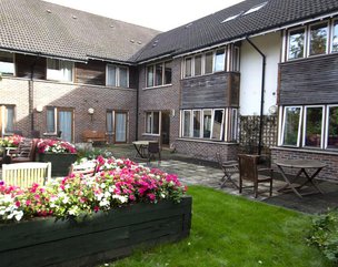 Forest View - Garden with flowerbeds