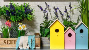 Greenfield Park, bird house 