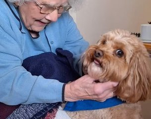 Sussex Grange, Selsey, pet therapy