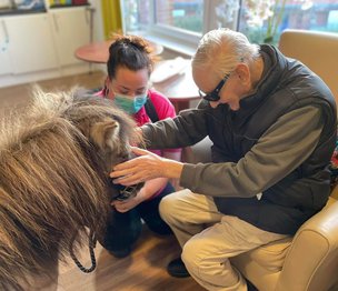 Benefits of Pet Therapy in Care Homes