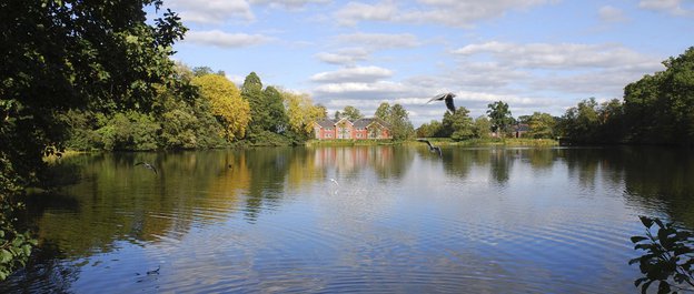 Lakeside Care Home in Reading