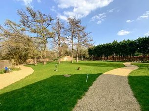 Woodstown House, garden area. 