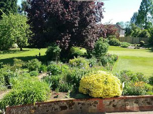 Lavenders Care Home in West Mailing, garden plants