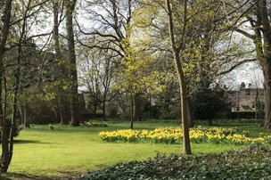 Murrayfield House Care Home in Edinburgh, grounds