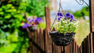 Park House in Guisborough, garden