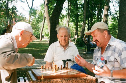 Top 10 Hobbies for Seniors or Older People