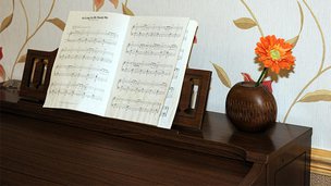 Pytchley Court Nursing Home in Brixworth, piano