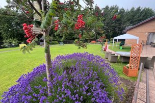 Riverside View in Dundee, garden