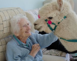 Llwyn Teg Care Home, Llanfyllin