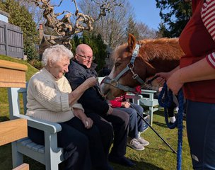 Stormont Lodge in Blairgowrie - Resident activity with horse