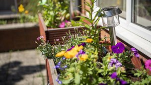 Swallownest Nursing Home in Sheffied, potted plant