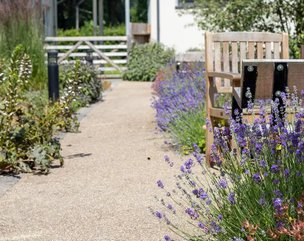 Brynhyfryd Care Home, Builth Wells - gardens