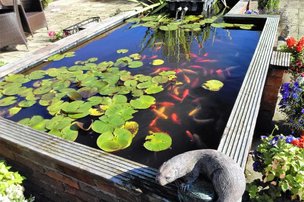 Willow Court in Lincoln, fish pond